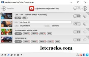 MediaHuman YouTube Downloader 3.9.9.84.2007 download the new version for mac
